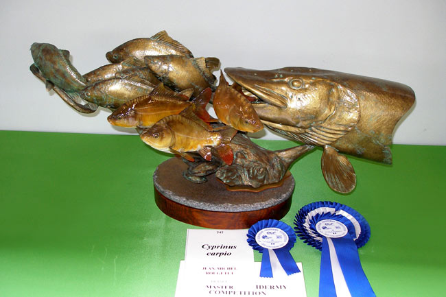 Cyprinus carpio